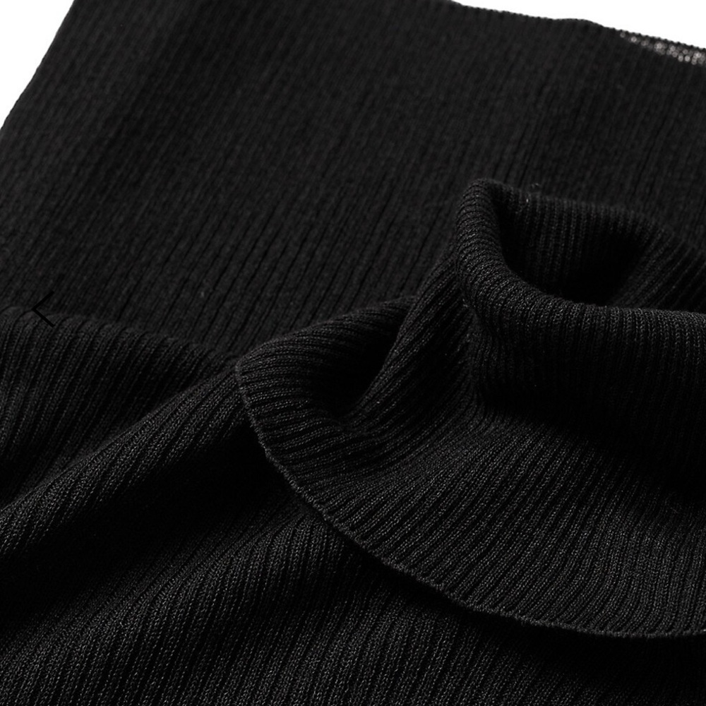 Mango Sheer Turtle Neck - Picture 5 of 8